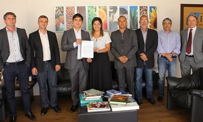 #EconomiaBaiana: Após 450 anos, Plantio de Tabaco no recôncavo é reconhecido